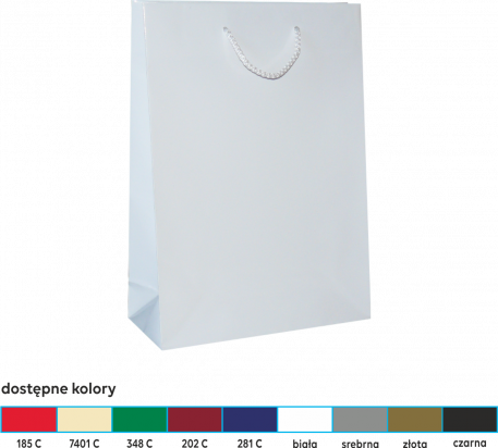 torba papierowa lakierowana 24x9x33 kolor