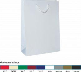 torba papierowa lakierowana 11,5x11,5x40 kolor